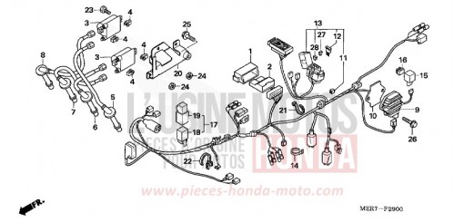 FAISCEAU DES FILS (CBF600S6/SA6) CBF600S6 de 2006
